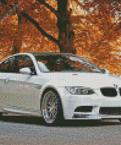 White BMW Car in Fall Diamond Painting