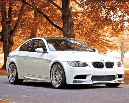 White BMW Car in Fall Diamond Painting