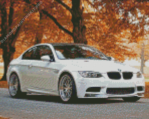 White BMW Car in Fall Diamond Painting