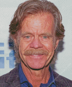 William H Macy Diamond Painting