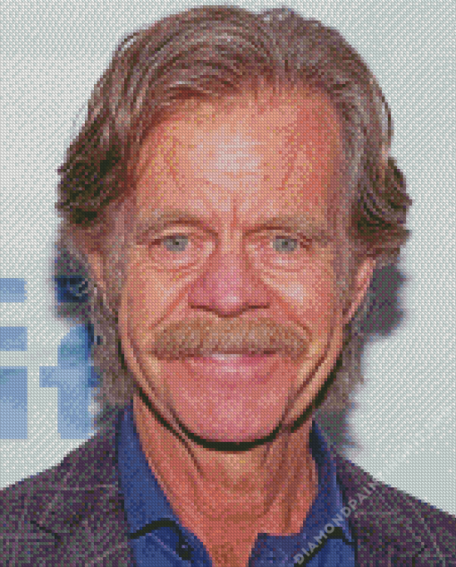 William H Macy Diamond Painting