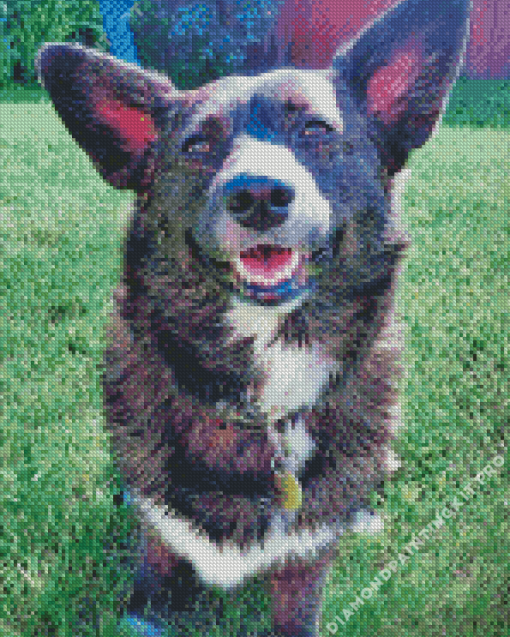 Black Corgi Poodle Diamond Painting