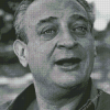 Rodney Dangerfield Actor Diamond Painting