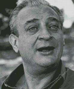 Rodney Dangerfield Actor Diamond Painting