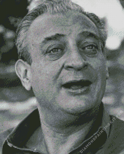 Rodney Dangerfield Actor Diamond Painting