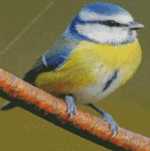 Colorful Tit Bluebird Diamond Painting