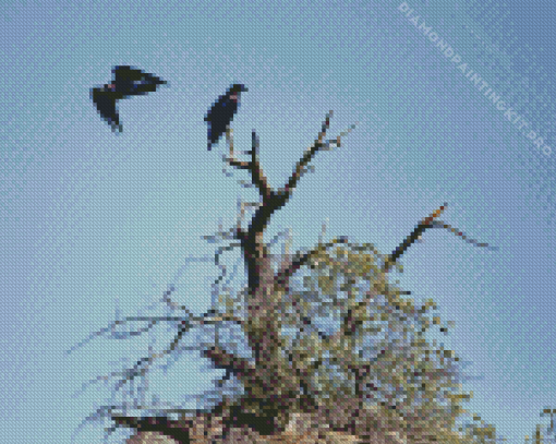 Dead Tree and Ravens Diamond Painting