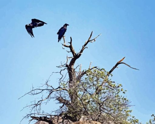 Dead Tree and Ravens Diamond Painting