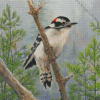 Downy Woodpecker Bird Diamond Painting