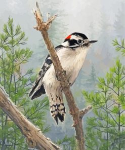 Downy Woodpecker Bird Diamond Painting