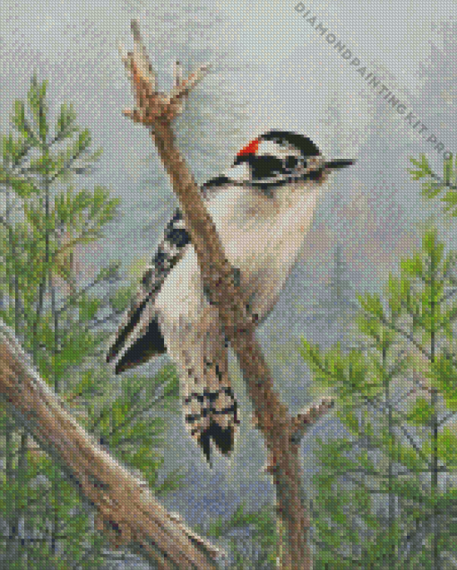 Downy Woodpecker Bird Diamond Painting