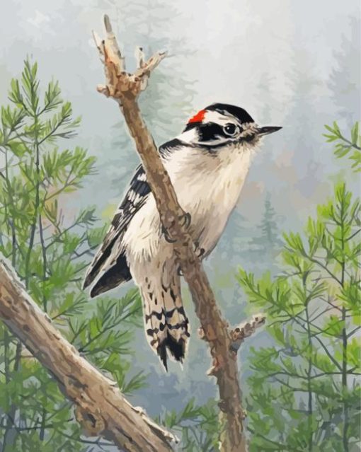 Downy Woodpecker Bird Diamond Painting