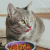 Grey Cat With Food Diamond Painting