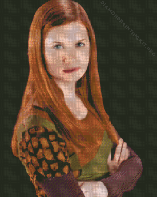 Harry Potter Ginny Weasley Diamond Painting