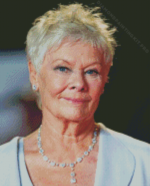 Judi Dench British Actress Diamond Painting