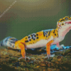 Leopard Western Desert Gecko Diamond Painting