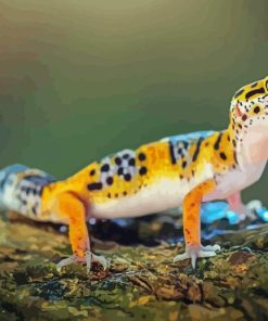 Leopard Western Desert Gecko Diamond Painting