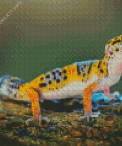 Leopard Western Desert Gecko Diamond Painting