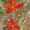 Orange Leopard Flowers Diamond Painting