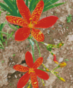 Orange Leopard Flowers Diamond Painting