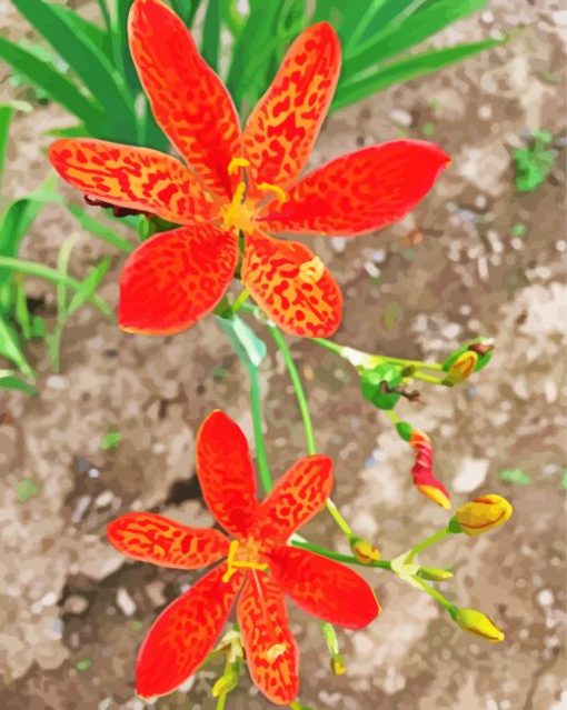 Orange Leopard Flowers Diamond Painting