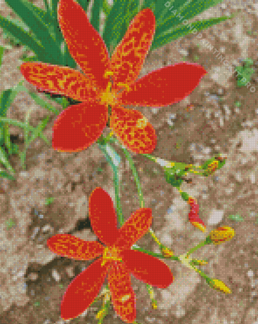 Orange Leopard Flowers Diamond Painting