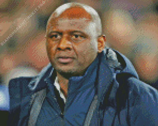 Patrick Vieira Football Manager Diamond Painting