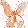 Peach Butterfly Splatter Art Diamond Painting