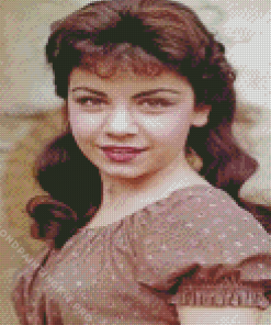 Vintage Annette Funicello Diamond Painting