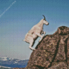 White Mountain Goat Diamond Painting