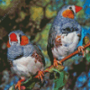 Colorful Zebra Finch Diamond Painting