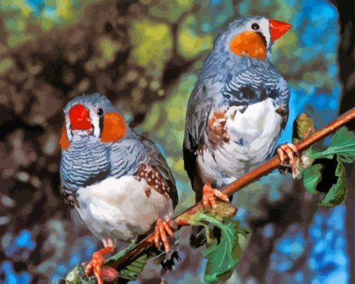 Colorful Zebra Finch Diamond Painting