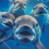 Cute Dolphins Diamond Paintings