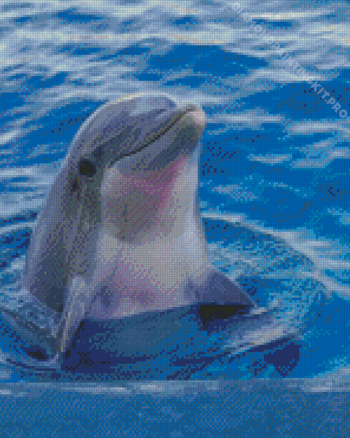 Cute Dolphin Diamond Paintings