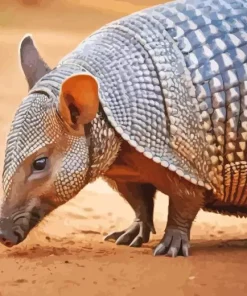 Armadillo Animal Diamond Painting