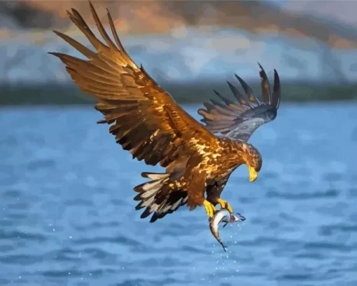 Sea Eagle Flying Diamond Painting