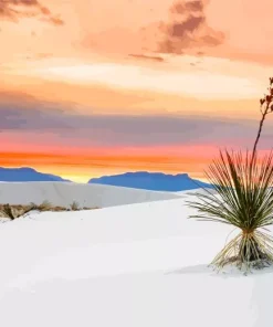 Sunset At White Sands Park Diamond Painting