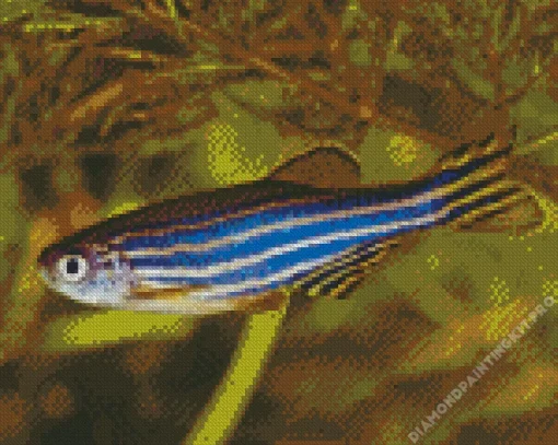 Zebrafish Diamond Painting