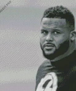 Aaron Donald Diamond Painting