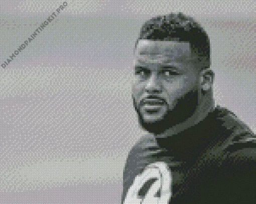 Aaron Donald Diamond Painting