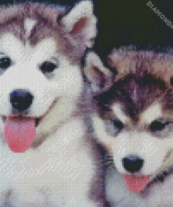 Baby Huskies Diamond Painting