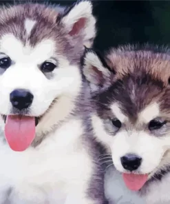 Baby Huskies Diamond Painting