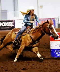 Barrel Racer Diamond Painting