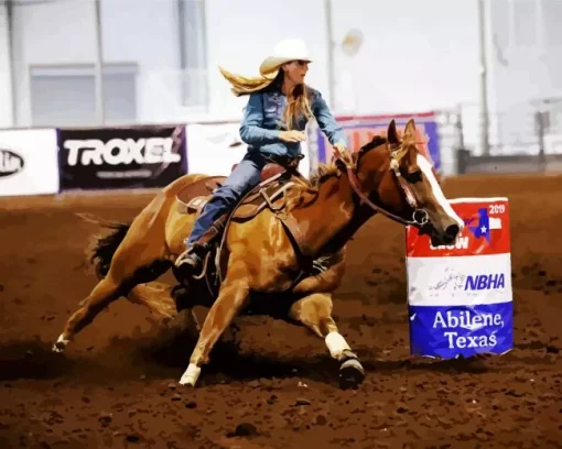 Barrel Racer Diamond Painting