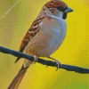 Bird On A Wire Diamond Painting