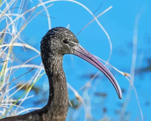 Black Ibis Bird Head Diamond Painting