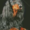 Black Wiener Dog Long Hair Dog Diamond Painting