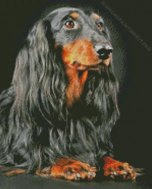 Black Wiener Dog Long Hair Dog Diamond Painting