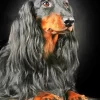 Black Wiener Dog Long Hair Dog Diamond Painting