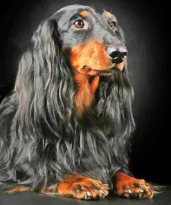 Black Wiener Dog Long Hair Dog Diamond Painting